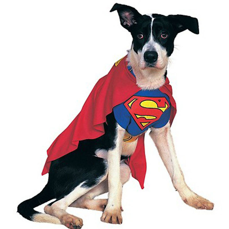 LDC016-Superman Dog Costume